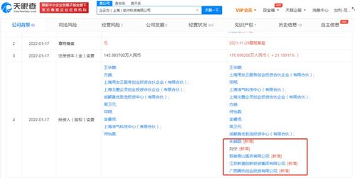 信息技術(shù)咨詢服務的價值與未來發(fā)展